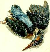 kingfisher J.M.W.Turner